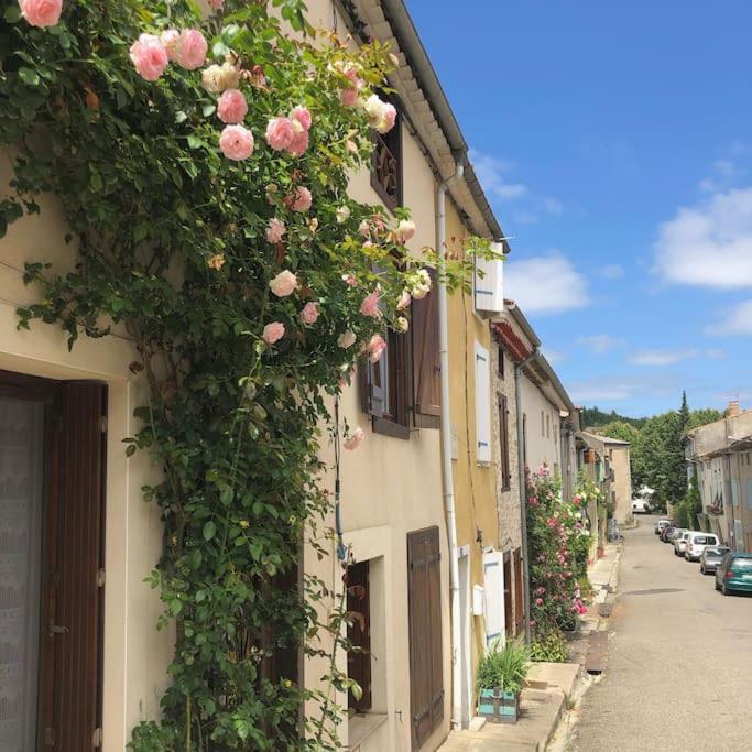 La Maison De Mama C: Charming French Village Home Sainte-Colombe-sur-l'Hers Exterior photo
